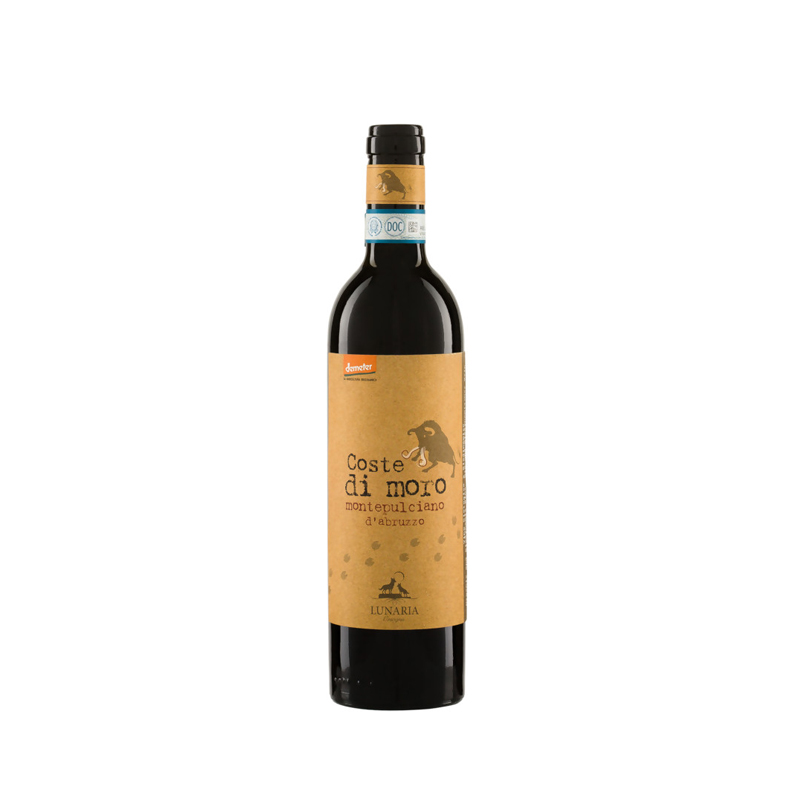 2019 “Coste di Moro” Montepulciano Weinschmecker-Grube d\'Abruzzo Olearia Vinicola, DOPCooperativa Wein Abruzzen | Ostholstein 