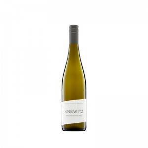 2019 Sauvignon Blanc trockenWeingut Knewitz, Rheinhessen ...
